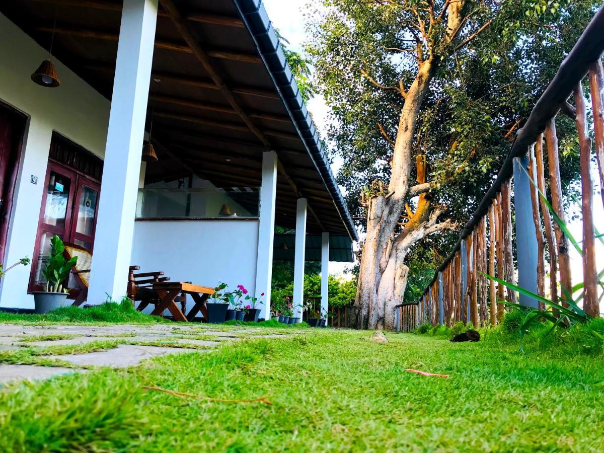 Rainbow Sky Cottage Ella Exterior photo